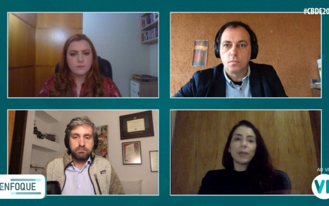“As redes sociais favorecem a polarização e a radicalização”, afirma Estela Aranha